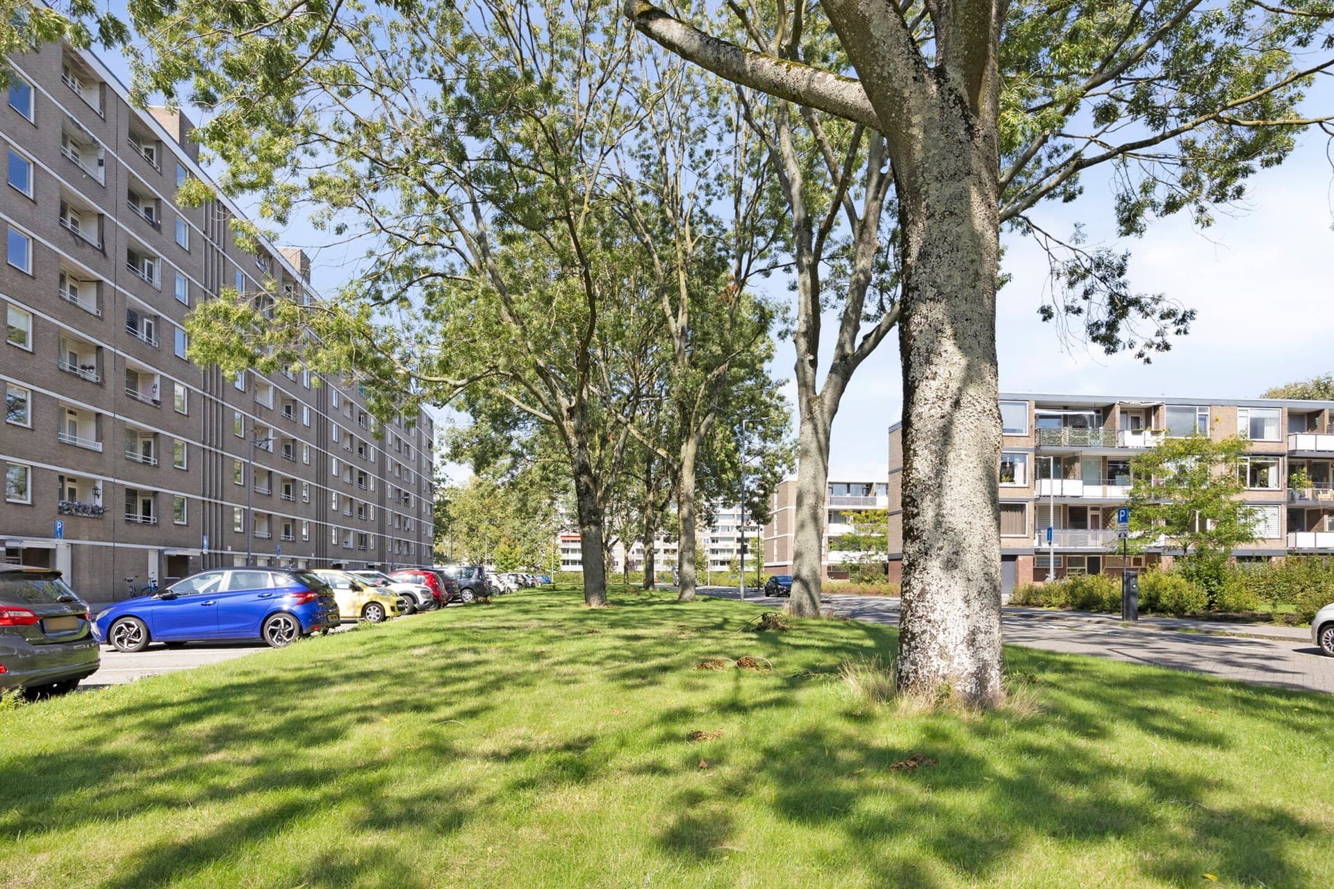 Adriaan Dortsmanstraat 149, Rotterdam, foto 23