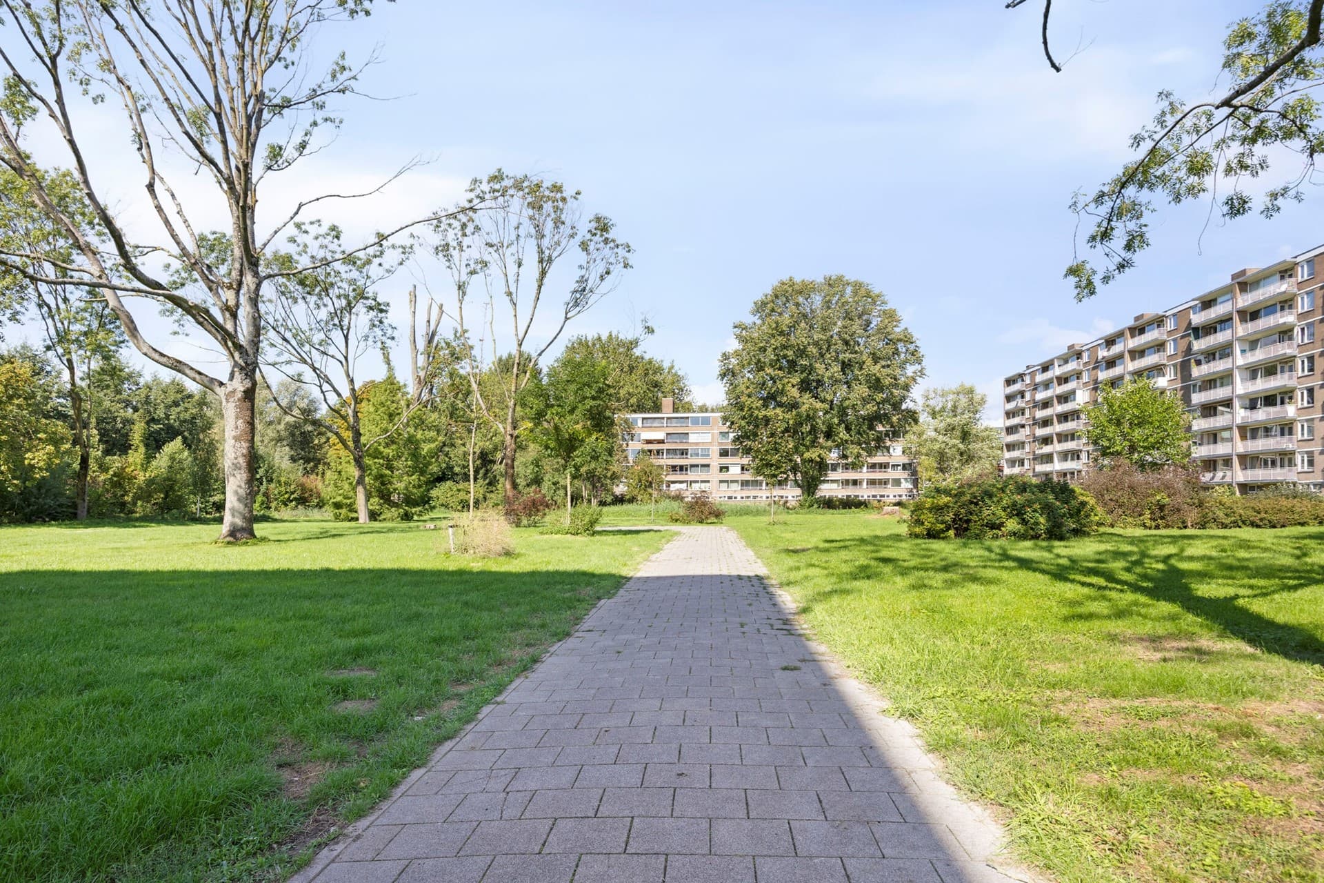 Adriaan Dortsmanstraat 149, Rotterdam, foto 22