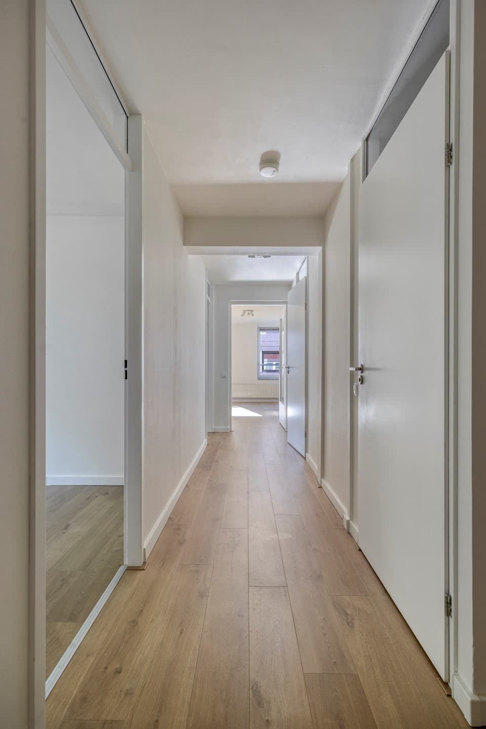 Kipstraat 47A, Rotterdam, foto 4