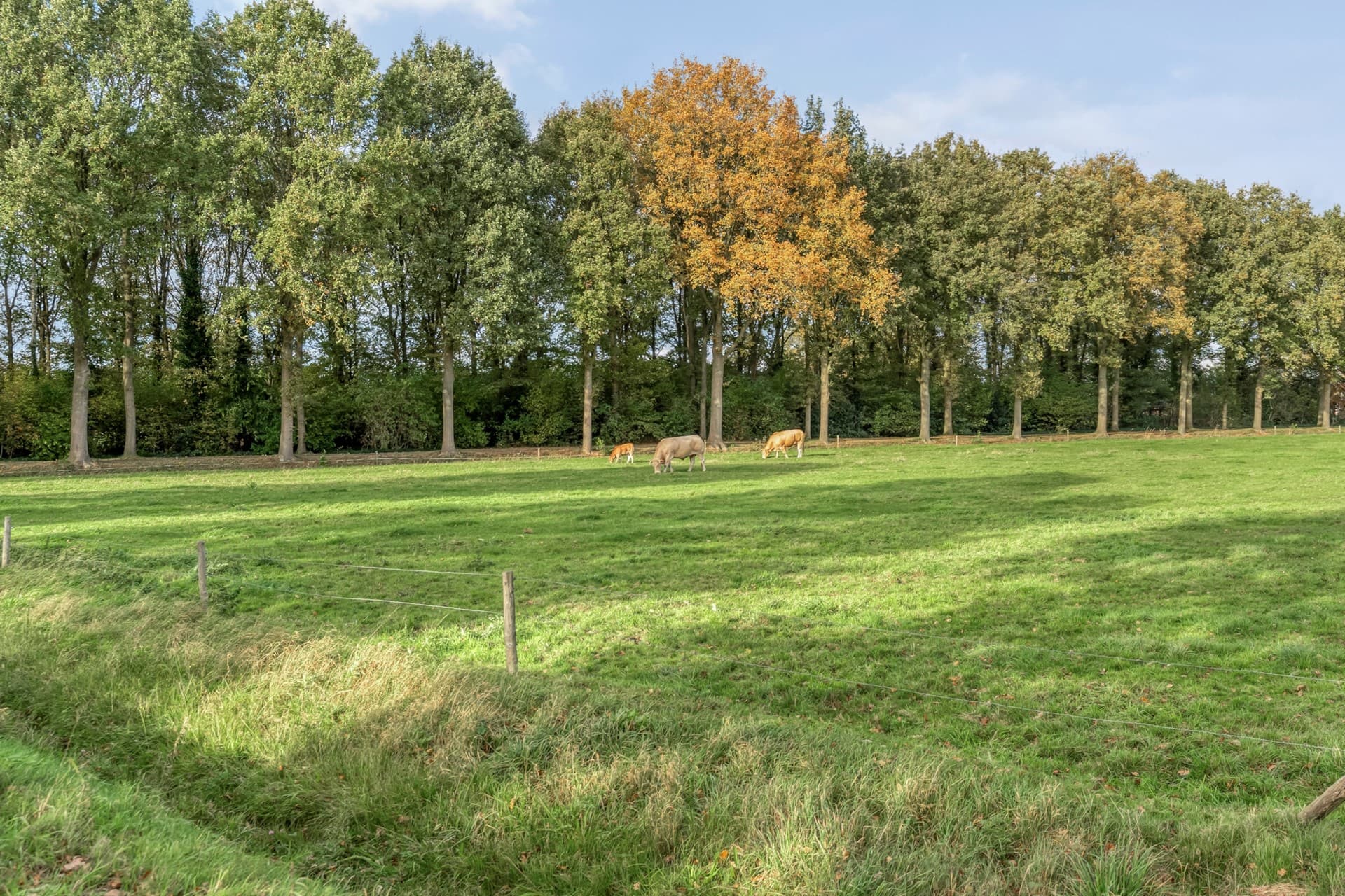 Emtenbroekerdijk 40, Bruchterveld, foto 11