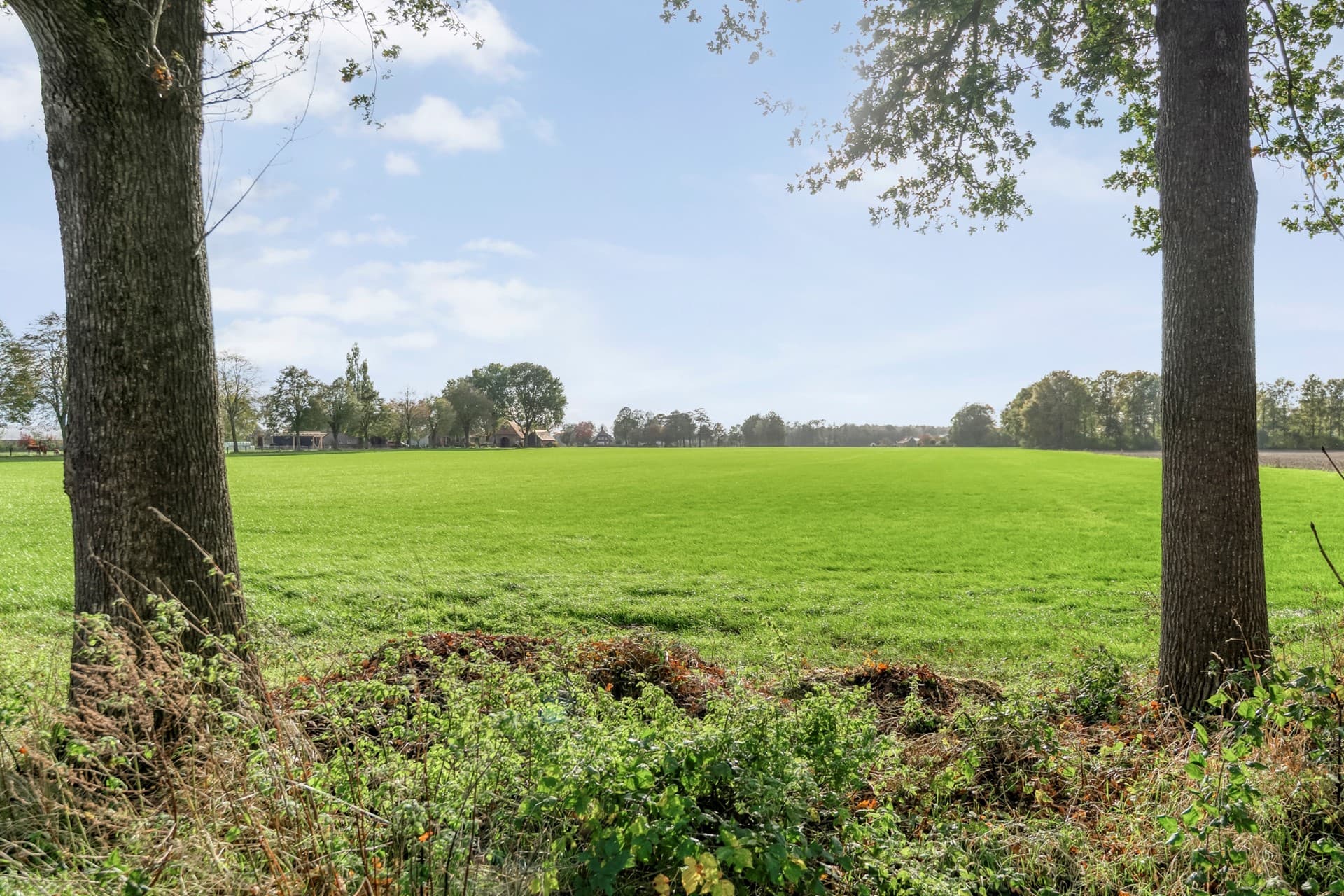 Emtenbroekerdijk 40, Bruchterveld, foto 10
