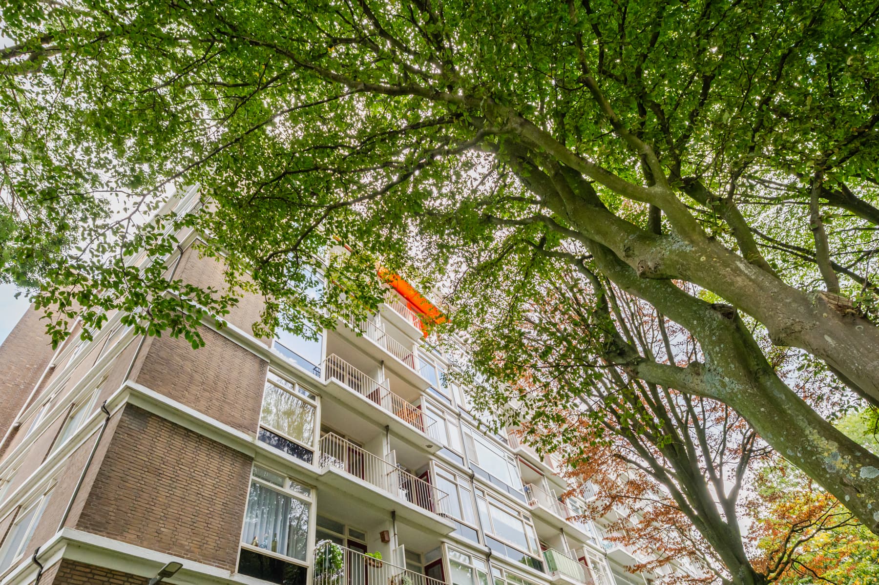 Isabellaland 1626, Den Haag, foto 6