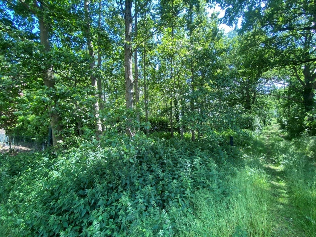 Sevenumseweg 35, Venlo, foto 11