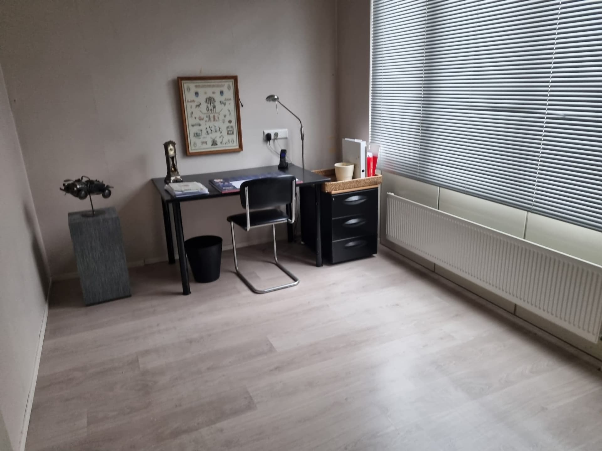 Meeuwenstraat, Hoofddorp, foto 6